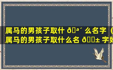 属马的男孩子取什 🪴 么名字（属马的男孩子取什么名 🐱 字好生日是2014年6月15日）